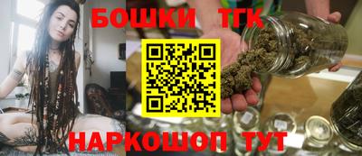 индика Рузаевка