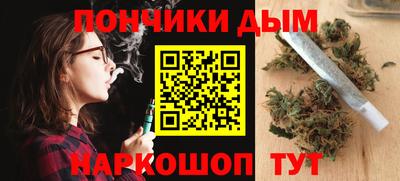 индика Рузаевка