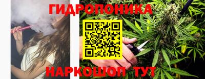 индика Рузаевка