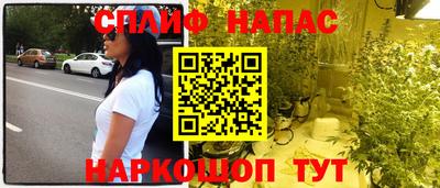 индика Рузаевка